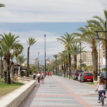 Sr Casa Coco La Nogalera